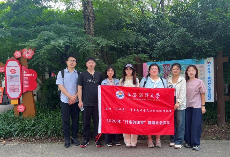 徐汇等区