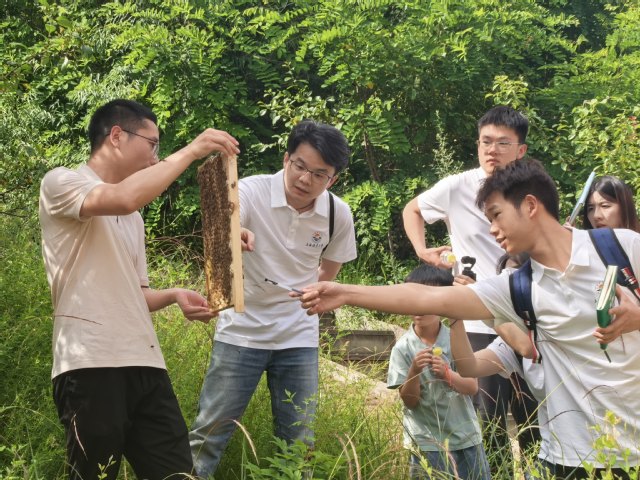 10 延伸阅读